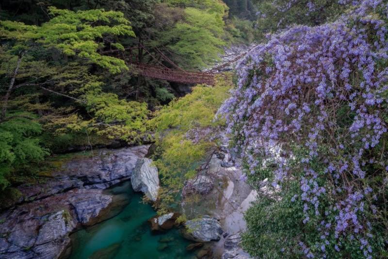 四国旅行のhub拠点 古民家ゲストハウス Heso Camp Мійоші Екстер'єр фото